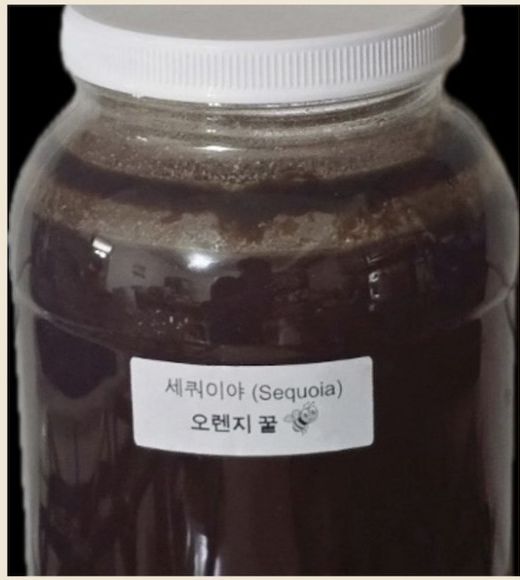 오렌지꿀 1